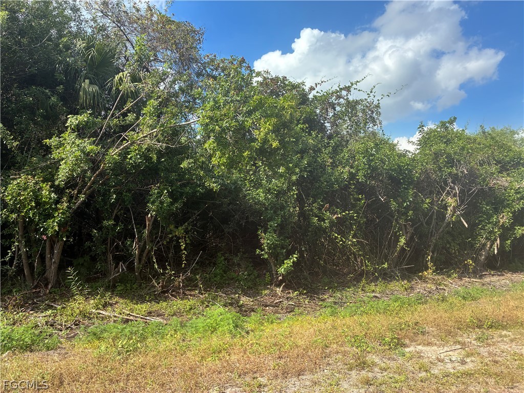 770 North Brida Street Clewiston, FL 33440 - Photo 3 of 3 a view of a tree in a yard