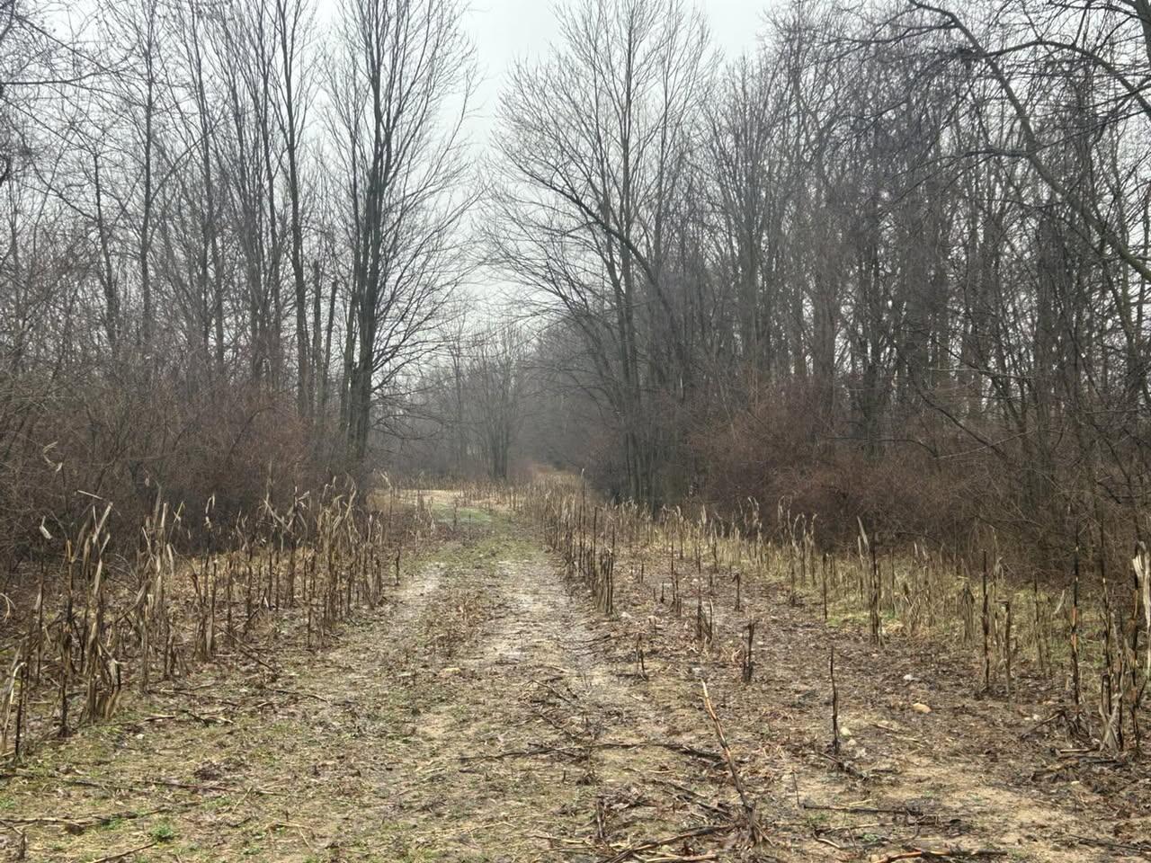 vacant land