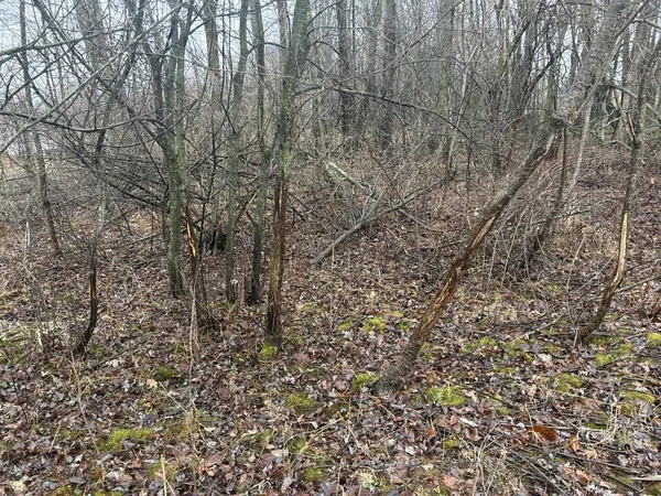 $225,000 | South Hillsdale Road, Hillsdale, MI 49242
