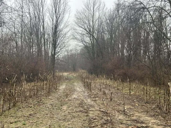 $225,000 | South Hillsdale Road, Hillsdale, MI 49242