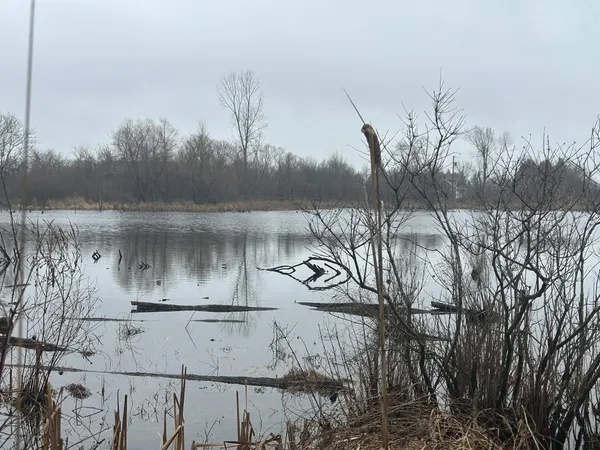 $225,000 | South Hillsdale Road, Hillsdale, MI 49242