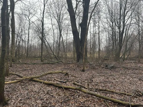 $225,000 | South Hillsdale Road, Hillsdale, MI 49242