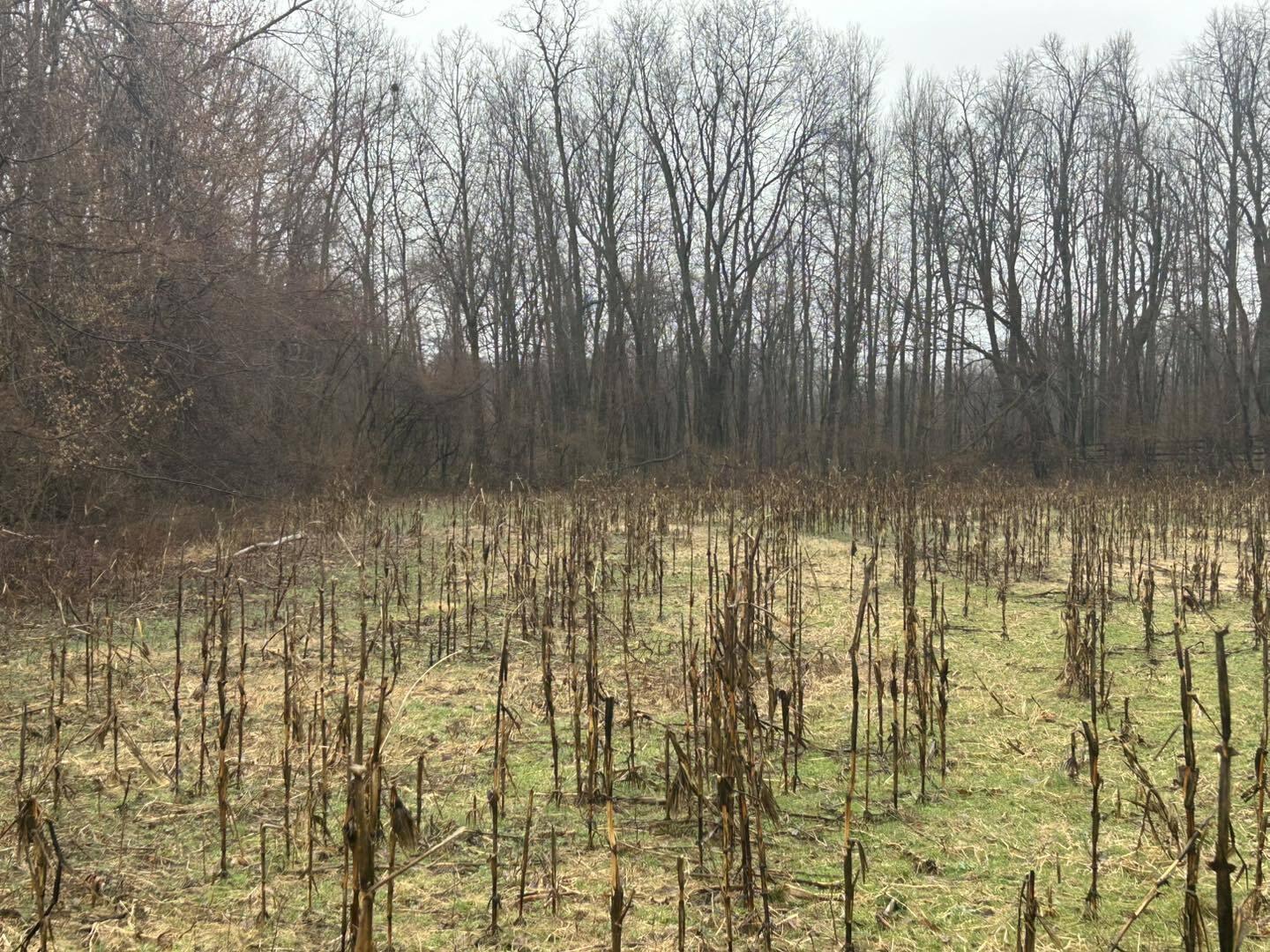 South Hillsdale Road Hillsdale, MI 49242 - Photo 5 of 17 HR11