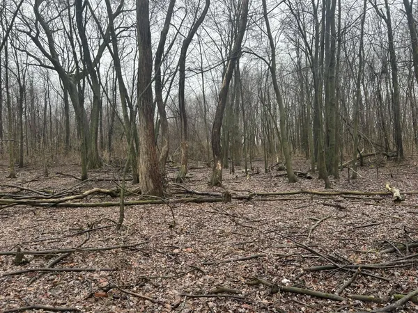 $225,000 | South Hillsdale Road, Hillsdale, MI 49242