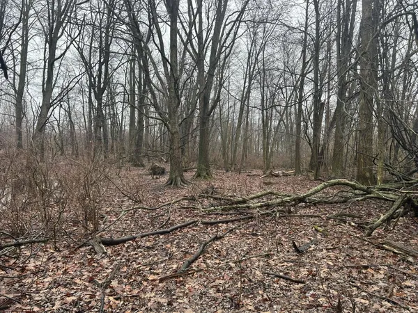 $225,000 | South Hillsdale Road, Hillsdale, MI 49242