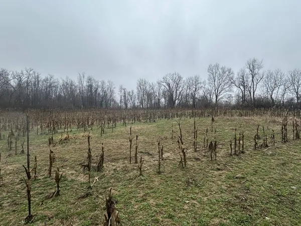 $225,000 | South Hillsdale Road, Hillsdale, MI 49242