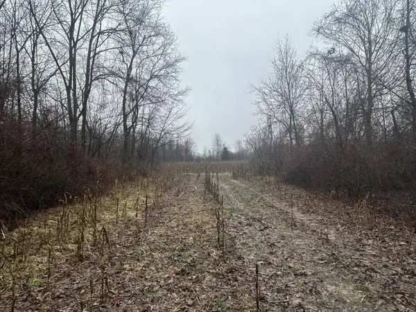 $225,000 | South Hillsdale Road, Hillsdale, MI 49242