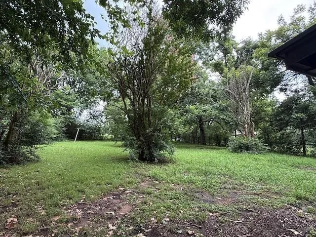 a view of a field with a tree in the background