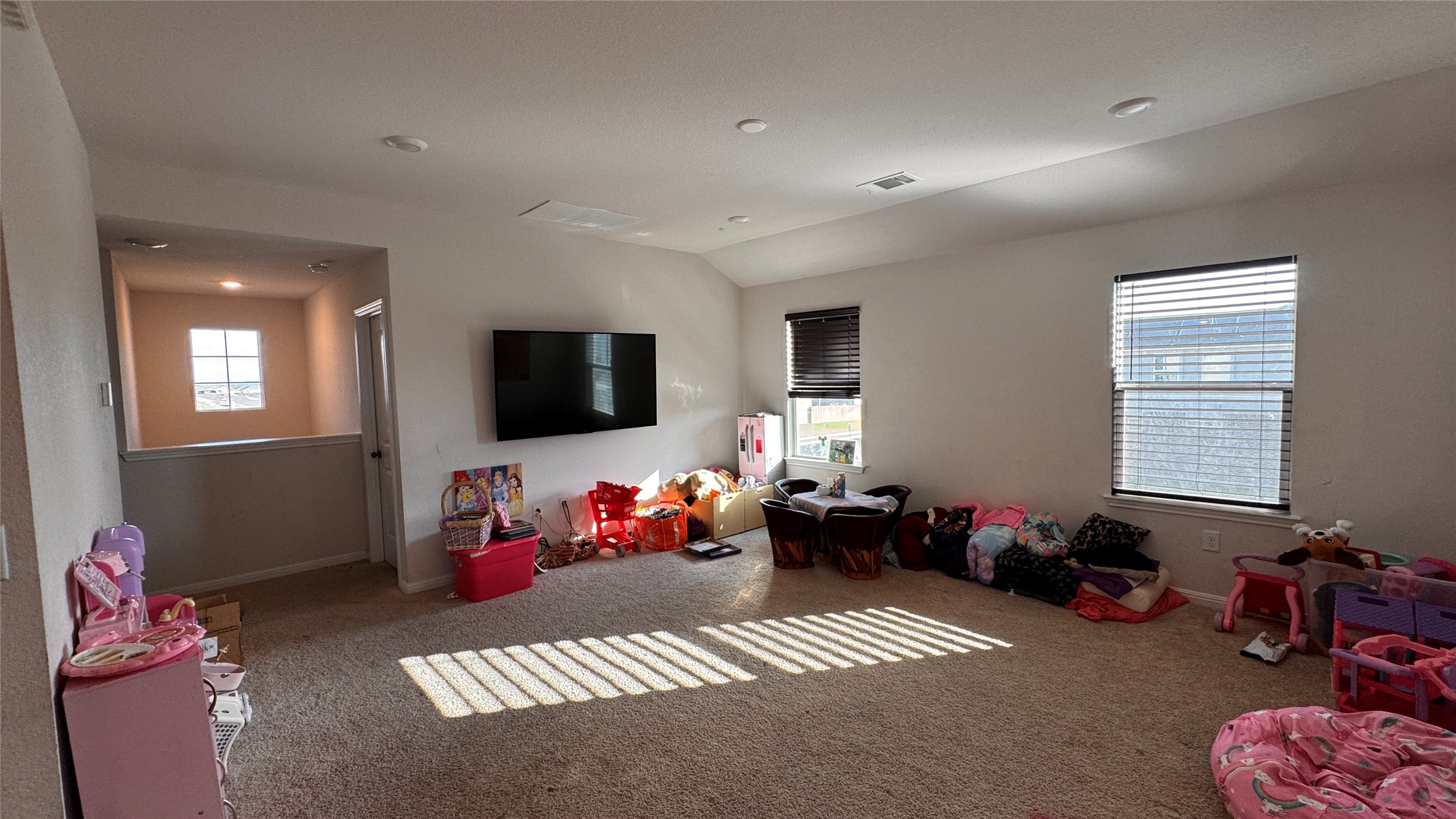 201 Finley Rae Drive Georgetown, TX 78626 - Photo 13 of 17 A spacious, naturally illuminated room featuring warm carpet flooring and multiple windows with blinds.