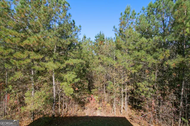 $360,000 | 386 Springwater Way, Bremen, GA 30110