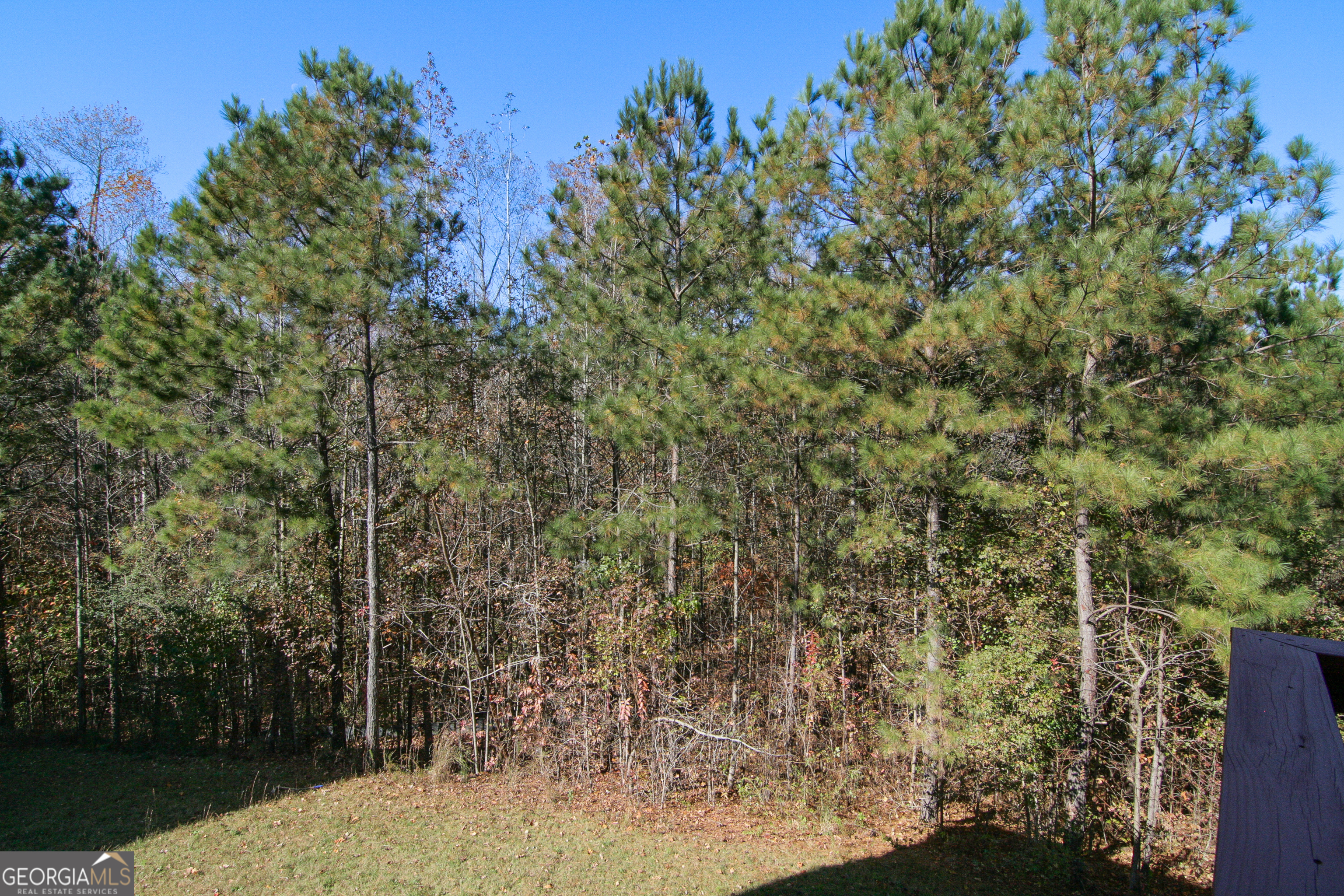 386 Springwater Way Bremen, GA 30110 - Photo 55 of 64