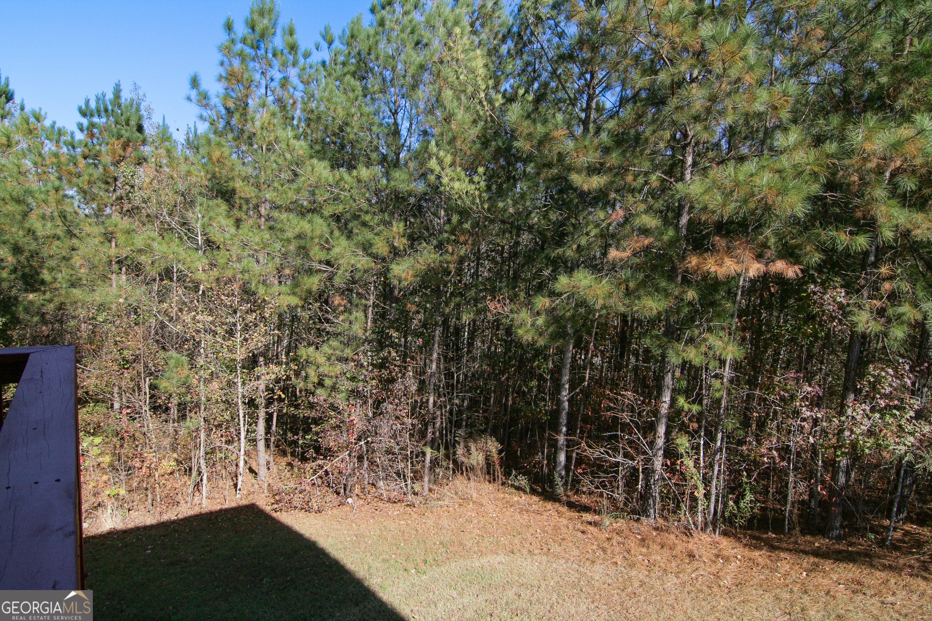 386 Springwater Way Bremen, GA 30110 - Photo 56 of 64 a view of outdoor space and yard
