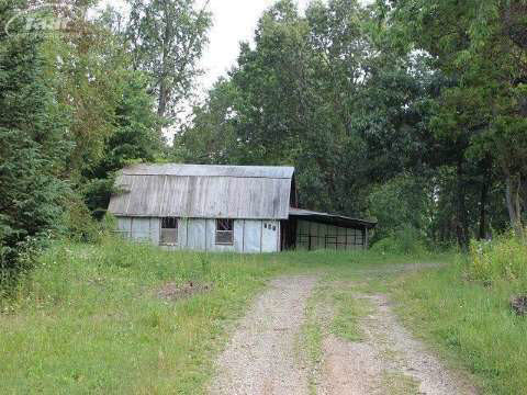 11636 McCaughna Road Byron, MI 48418 - Photo 12 of 52 20413315-11.JPG