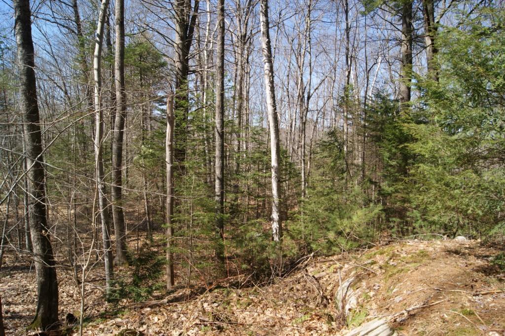 194 Jewett Road Pittston, ME 04345 - Photo 8 of 27 Photo