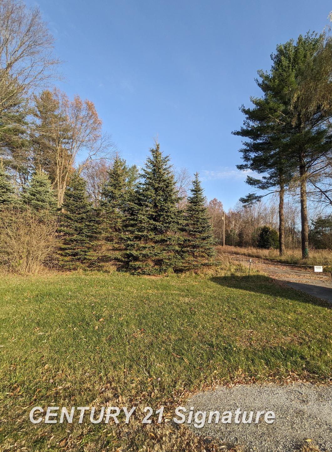 9845 Elms Road Birch Run, MI 48415 - Photo 2 of 8