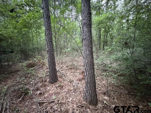 0 County Road 1204 Rusk, TX 75785 - Photo 6 of 32