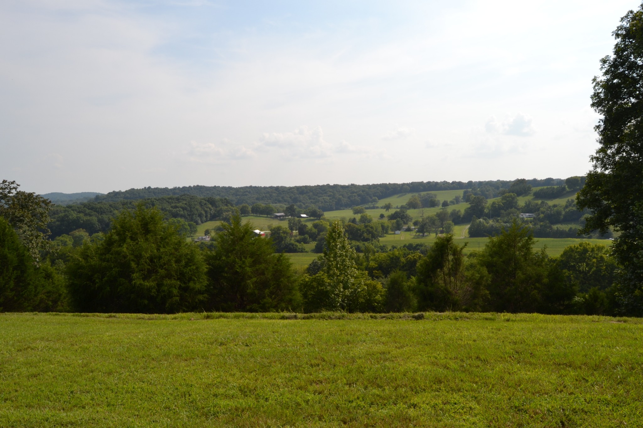 1050 Edmundson Road Prospect, TN 38477 - Photo 2 of 40 a view of grassy field with trees