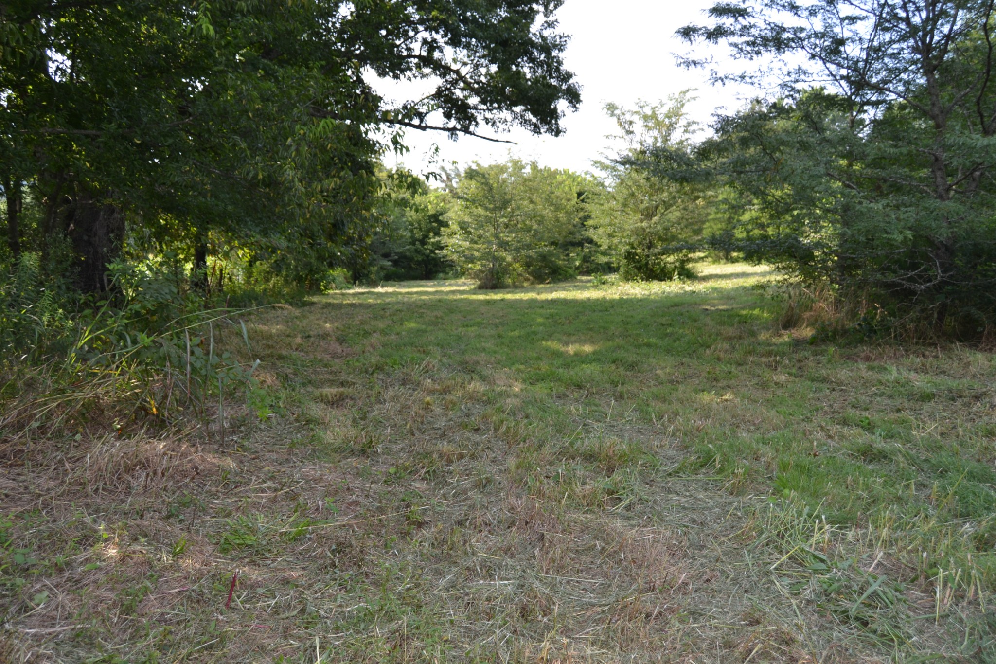 1050 Edmundson Road Prospect, TN 38477 - Photo 12 of 40 a view of a trees with a yard