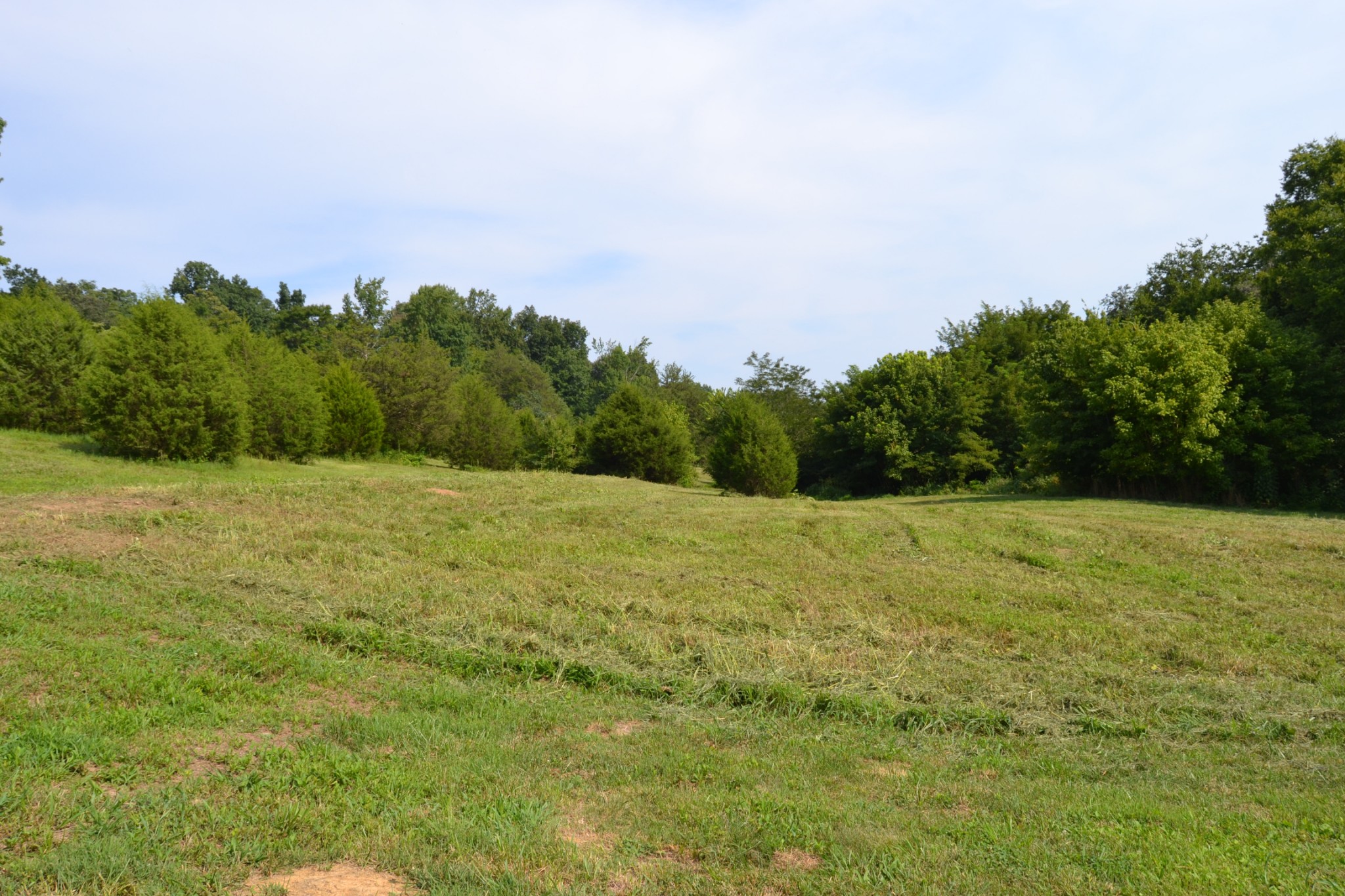 1050 Edmundson Road Prospect, TN 38477 - Photo 14 of 40 a view of a big yard with a house