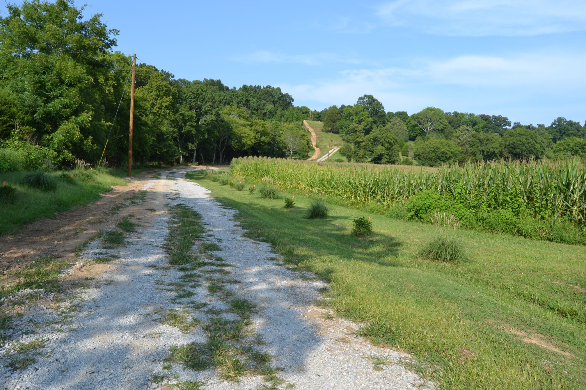 1050 Edmundson Road Prospect, TN 38477 - Photo 18 of 40 a view of a big yard with green space