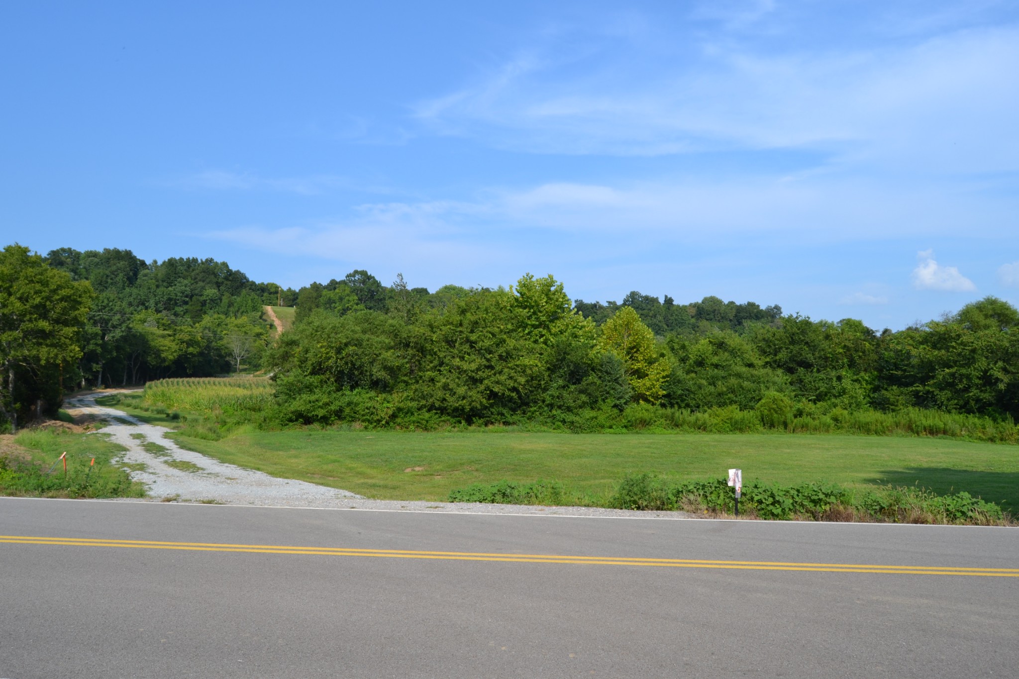 1050 Edmundson Road Prospect, TN 38477 - Photo 19 of 40 a view of a grassy field with trees