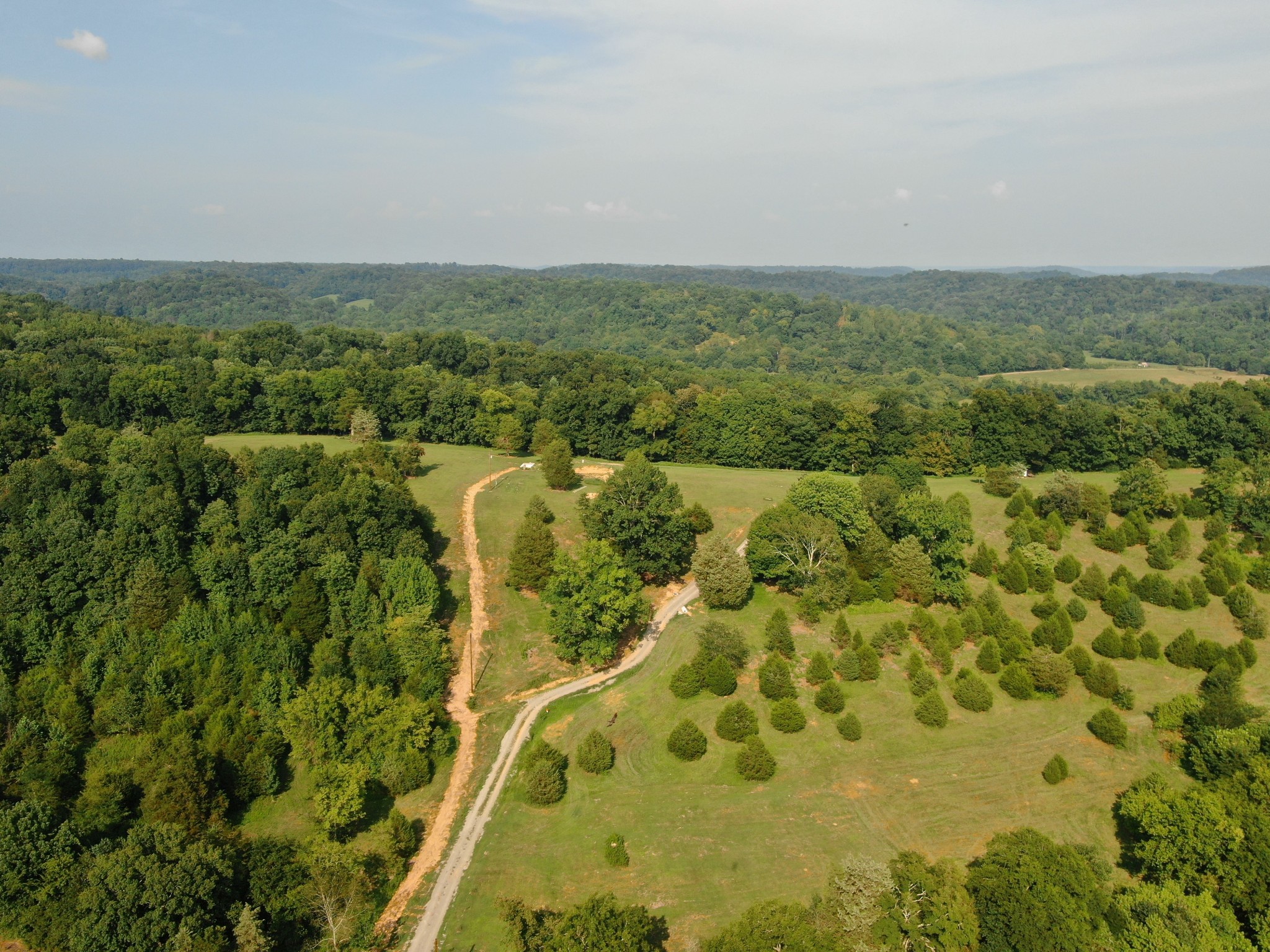 1050 Edmundson Road Prospect, TN 38477 - Photo 3 of 40 an aerial view of residential house with space and trees