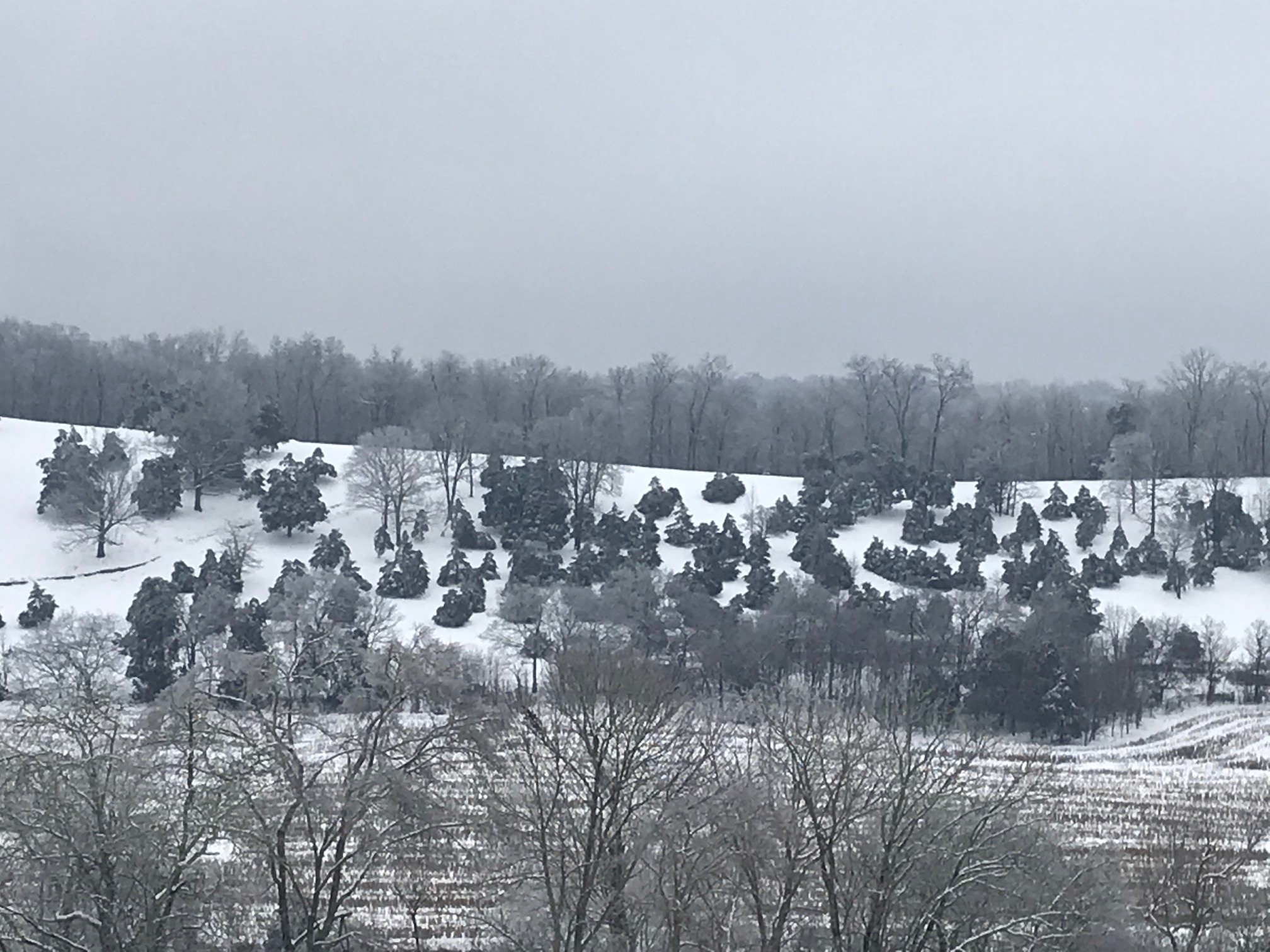 1050 Edmundson Road Prospect, TN 38477 - Photo 24 of 40 a view of a snow in a city