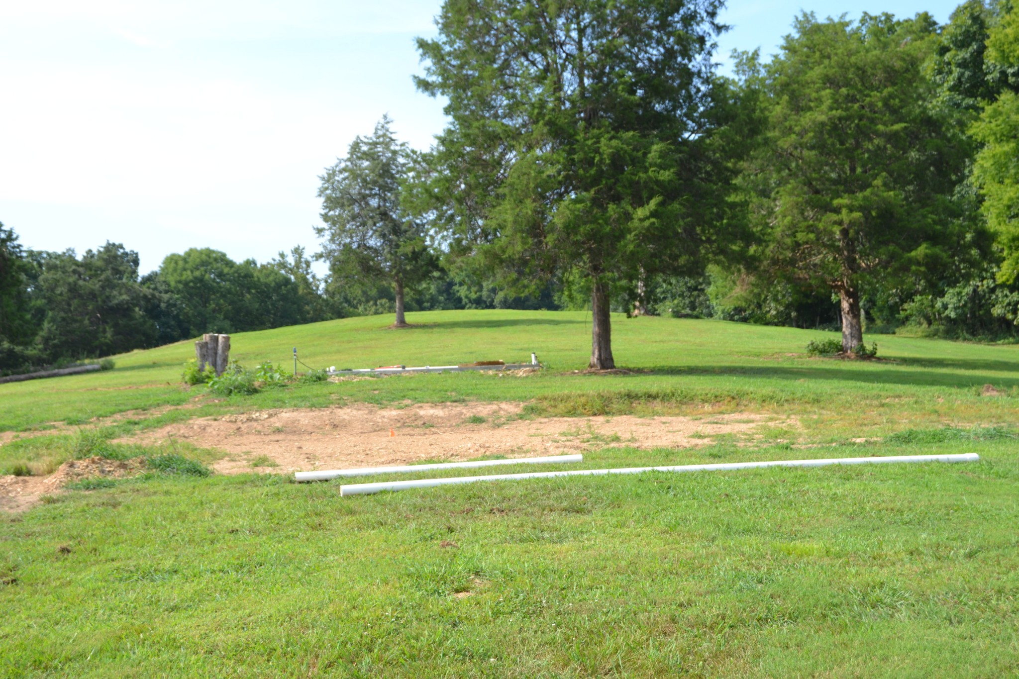 1050 Edmundson Road Prospect, TN 38477 - Photo 5 of 40 a view of a park with large trees