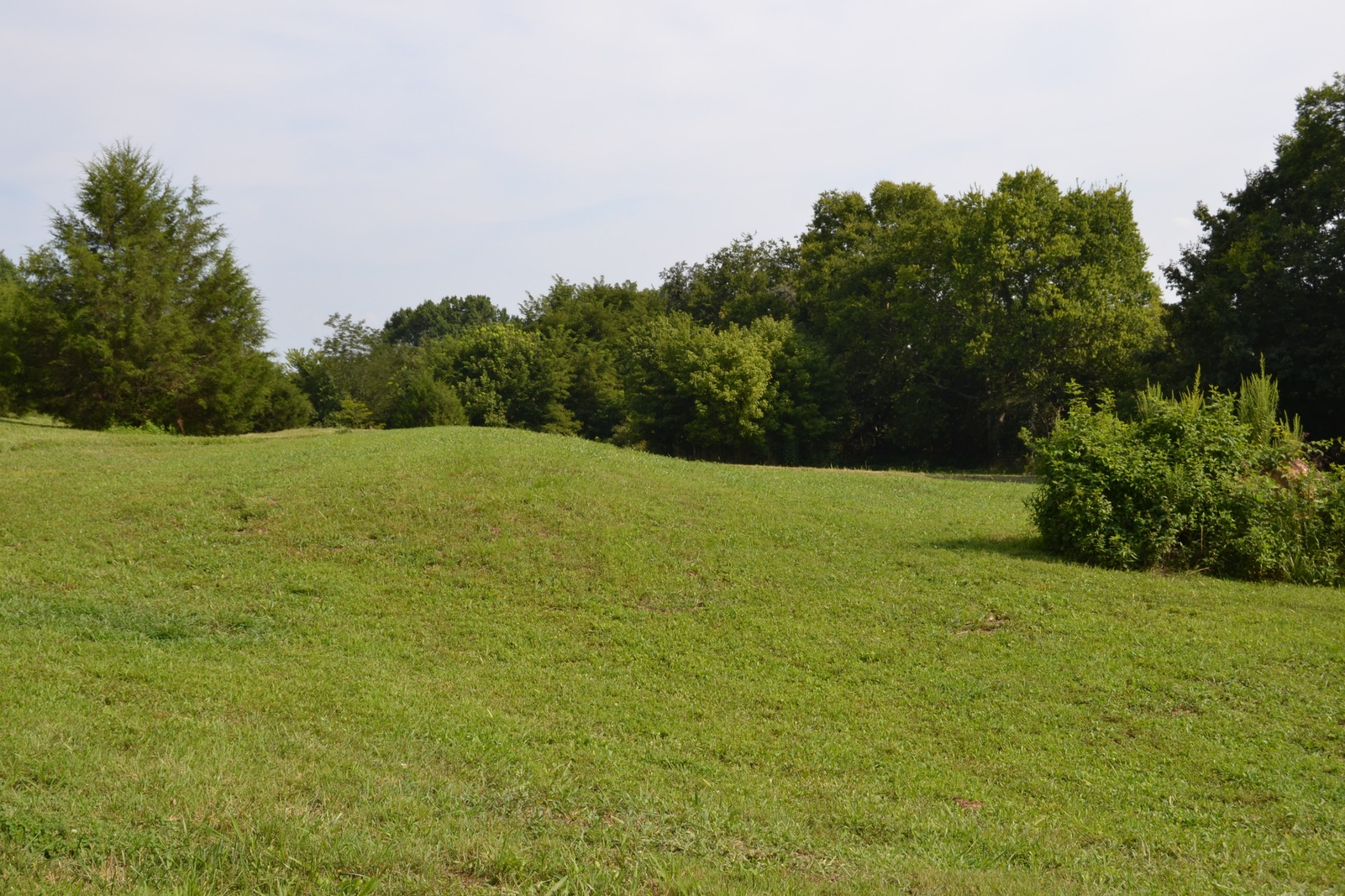 1050 Edmundson Road Prospect, TN 38477 - Photo 7 of 40 a view of a field with an trees in the background