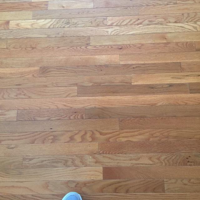 71 Outer Drive Oak Ridge, TN 37830 - Photo 5 of 32 IMG_2894