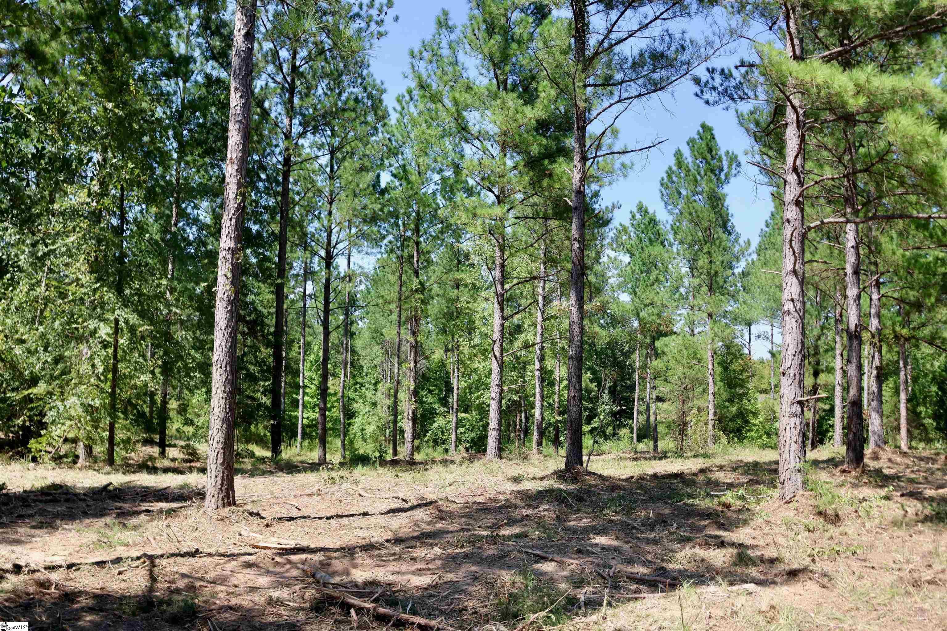 0 Fields Road, Unit LOT 3 Pauline, SC 29374 - Photo 5 of 6