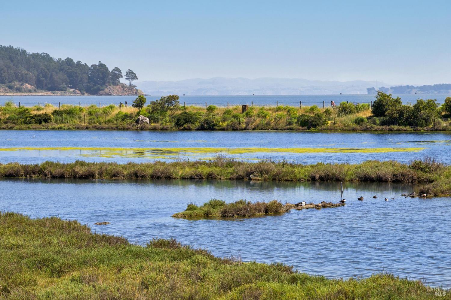 255 Baypoint Drive San Rafael, CA 94901 - Photo 58 of 62