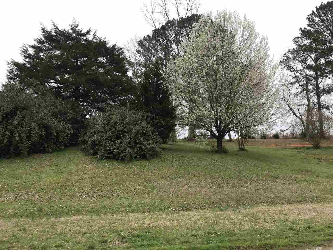 3108 Rocky Point Road Carthage, MS 39051 - Photo 3 of 36 Photo 3