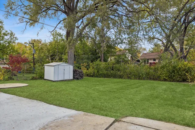 a view of a house with a yard and a large tree