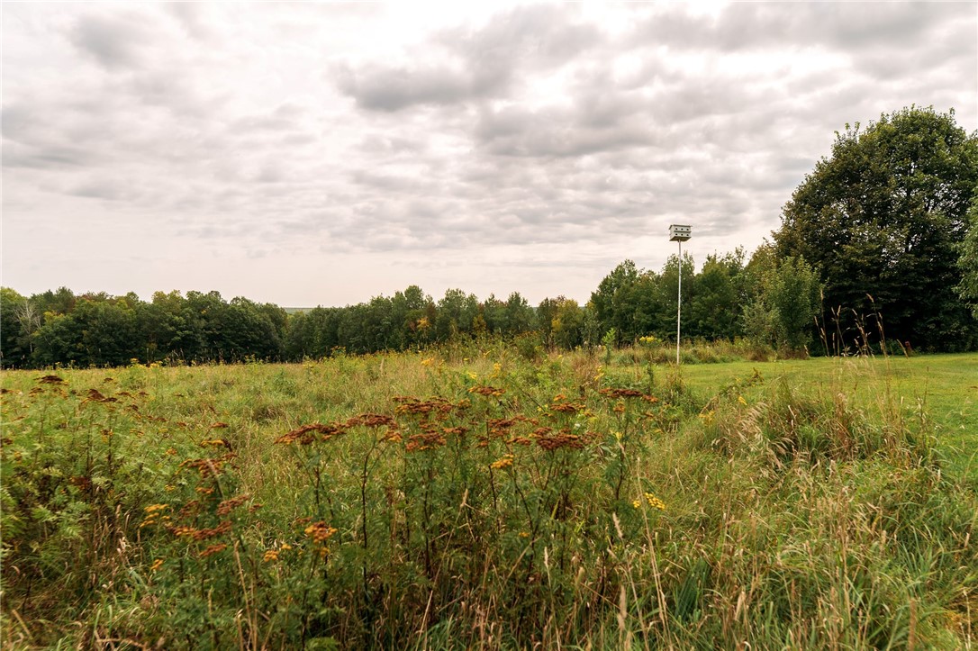 4758 Ryan Road Couderay, WI 54828 - Photo 19 of 49 Grassy Field
