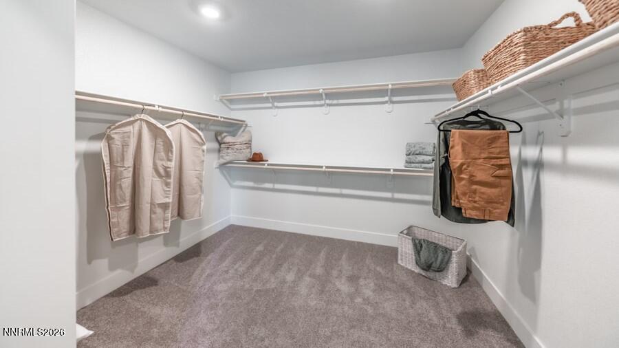 494 Daisy Fay Way Carson City, NV 89705 - Photo 22 of 28 a view of walk in closet with clothes and shoes