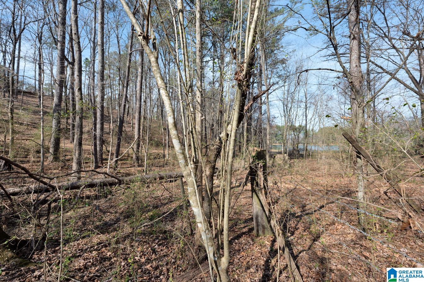 606 Phillips Road Cleveland, AL 35049 - Photo 41 of 41
