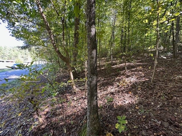 0 Chalk Hill Church Road Camden, TN 38320 - Photo 15 of 57 a view of forest