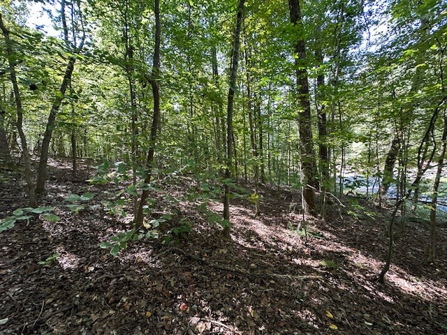 0 Chalk Hill Church Road Camden, TN 38320 - Photo 19 of 57 a view of a forest with trees in the background