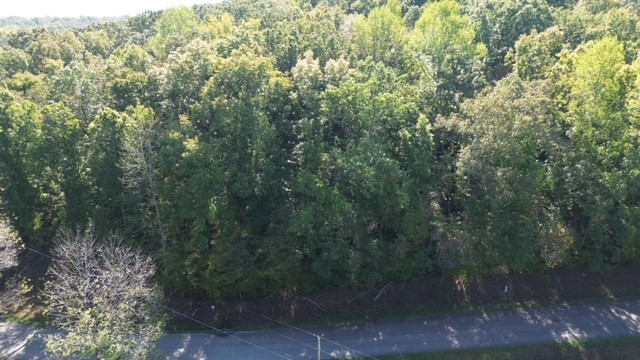 0 Chalk Hill Church Road Camden, TN 38320 - Photo 2 of 57 a view of a forest with a street
