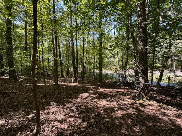 0 Chalk Hill Church Road Camden, TN 38320 - Photo 23 of 57 a backyard of a house with lots of green space