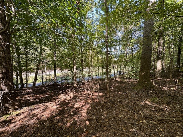 0 Chalk Hill Church Road Camden, TN 38320 - Photo 26 of 57