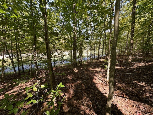 0 Chalk Hill Church Road Camden, TN 38320 - Photo 28 of 57 a backyard of a house with lots of green space