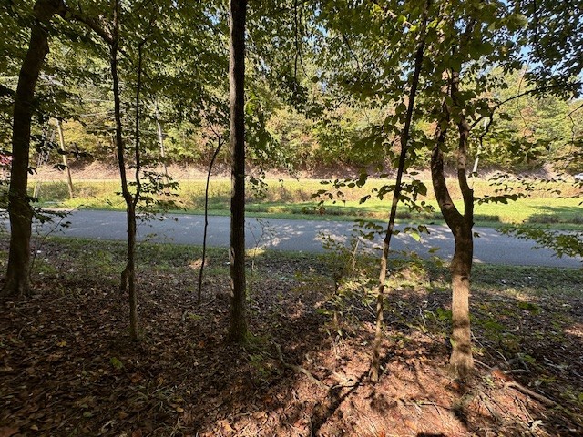 0 Chalk Hill Church Road Camden, TN 38320 - Photo 30 of 57