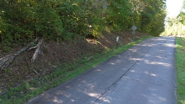 0 Chalk Hill Church Road Camden, TN 38320 - Photo 3 of 57