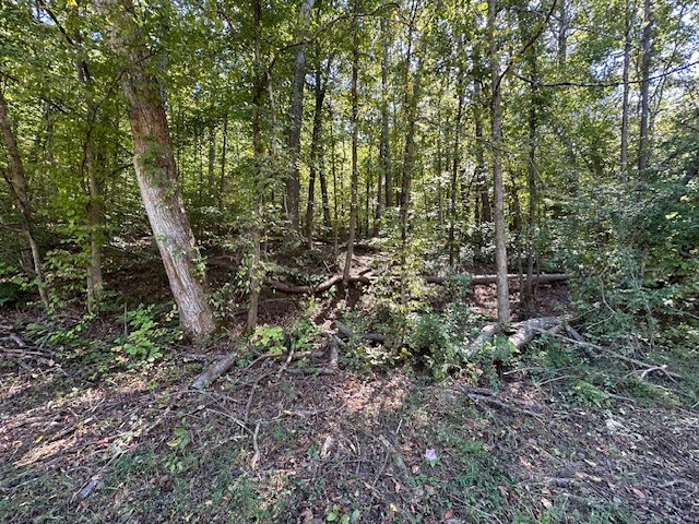 0 Chalk Hill Church Road Camden, TN 38320 - Photo 33 of 57 a view of a forest with trees