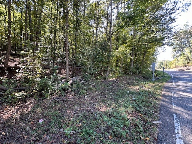 0 Chalk Hill Church Road Camden, TN 38320 - Photo 34 of 57 a view of a forest with trees in the background