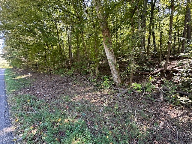 0 Chalk Hill Church Road Camden, TN 38320 - Photo 35 of 57 a view of a forest with trees