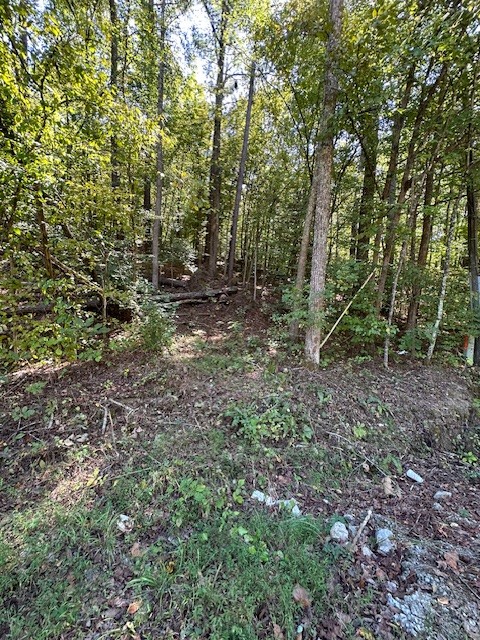 0 Chalk Hill Church Road Camden, TN 38320 - Photo 36 of 57 a view of a forest that has a tree