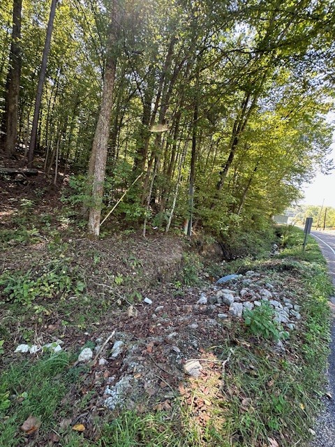 0 Chalk Hill Church Road Camden, TN 38320 - Photo 37 of 57 a big yard with lots of green space and deers